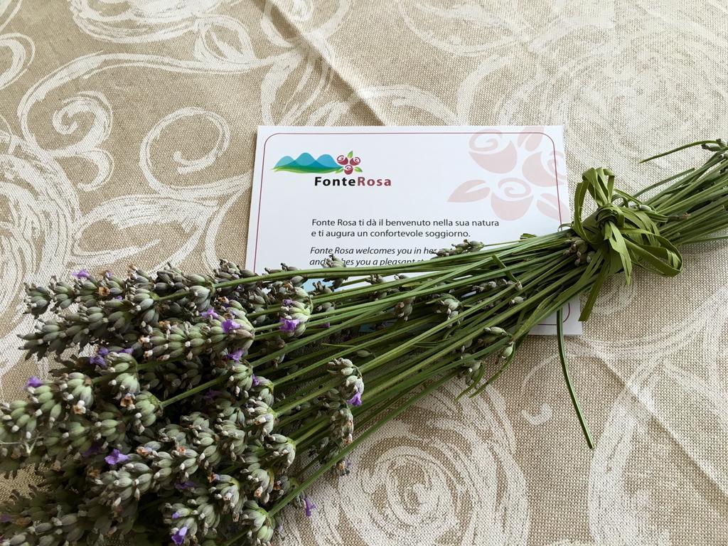 Agriturismo Fonte Rosa Fiastra Εξωτερικό φωτογραφία
